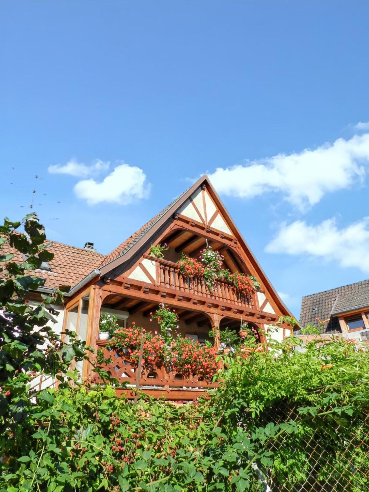 Maison Charmante Avec Vue Sur La Montagne A Triembach-Au-Val Exteriér fotografie