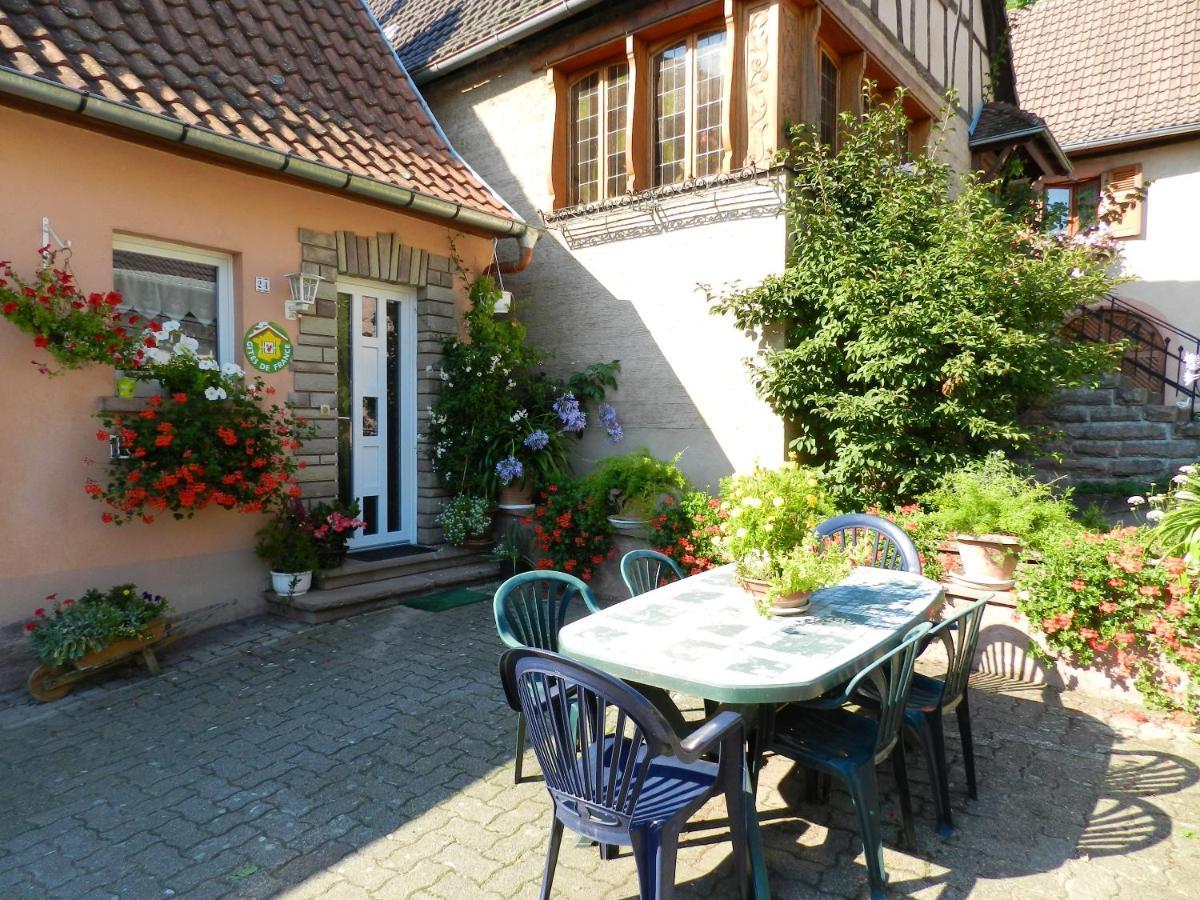 Maison Charmante Avec Vue Sur La Montagne A Triembach-Au-Val Exteriér fotografie